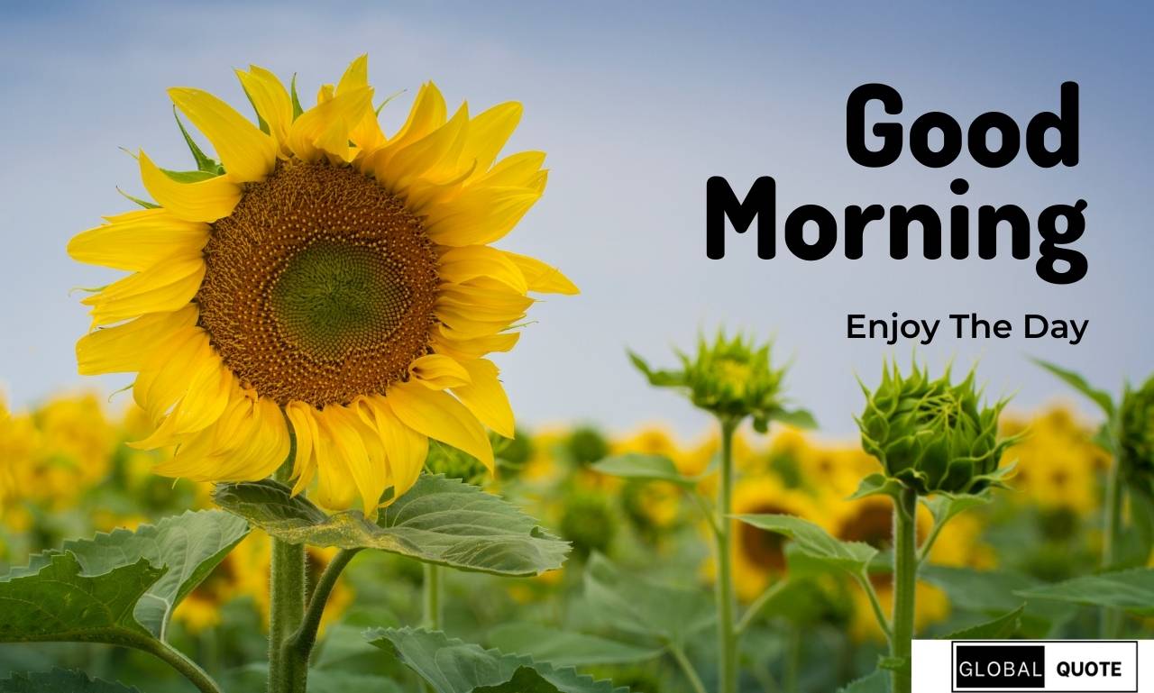 Peaceful sunrise with an open Bible representing a monday morning prayer to start the week with faith, hope, and divine guidance