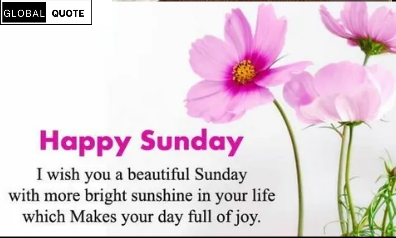 happy sunday blessings with sunrise, Bible, coffee cup, and peaceful morning spiritual setting